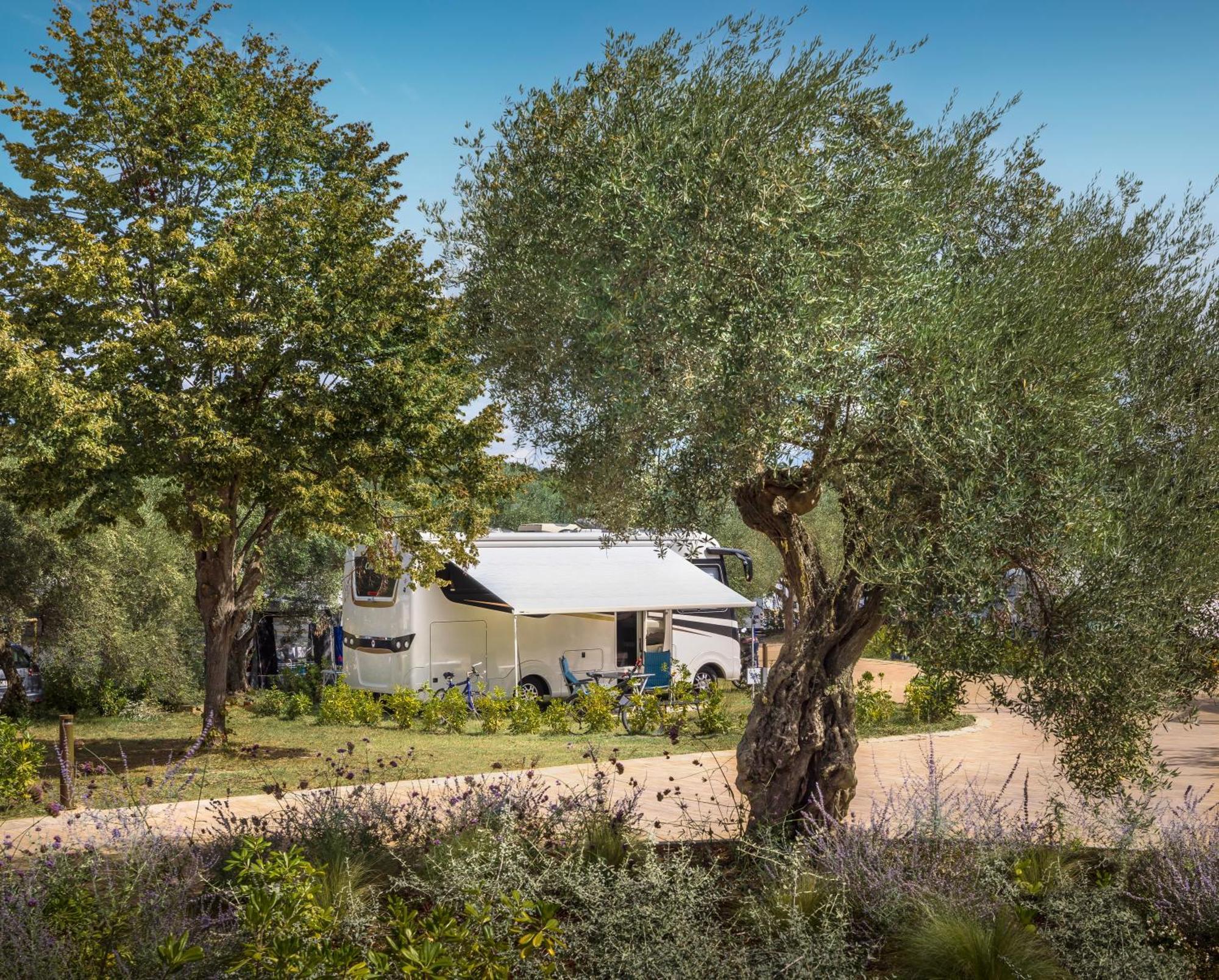 Maistra Camping Koversada Uncovered Naturist Pitches Vrsar Exterior photo
